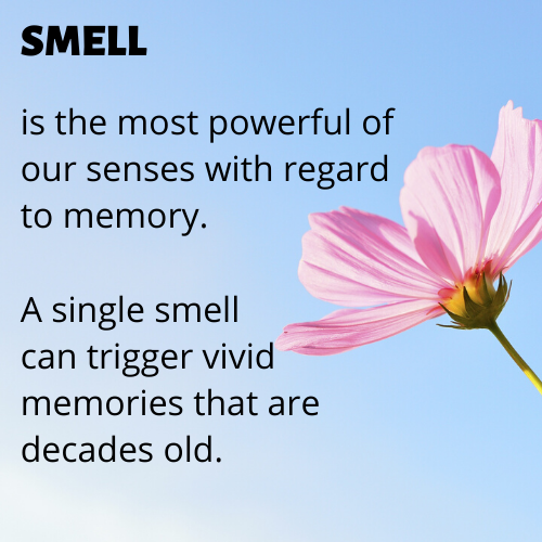 a pink flower in front of a blue background with text that reads SMELL is the most powerful of our senses with regard to memory. A single smell can trigger vivid memories that are decades old.