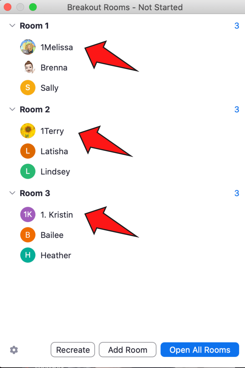 screen capture of a list of names assigned to Zoom breakout rooms