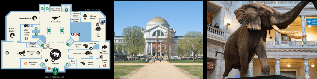 smithsonian natural history museum collage with map on the left, exterior photo in center, and photo of elephant statue on right