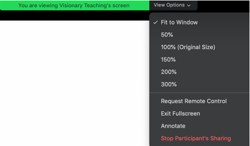 screenshot of Zoom view options tab which has the following options: fit to window, 50%, 100%, 150%, 200%, 300%, request remote control, exit fullscreen, and annotate