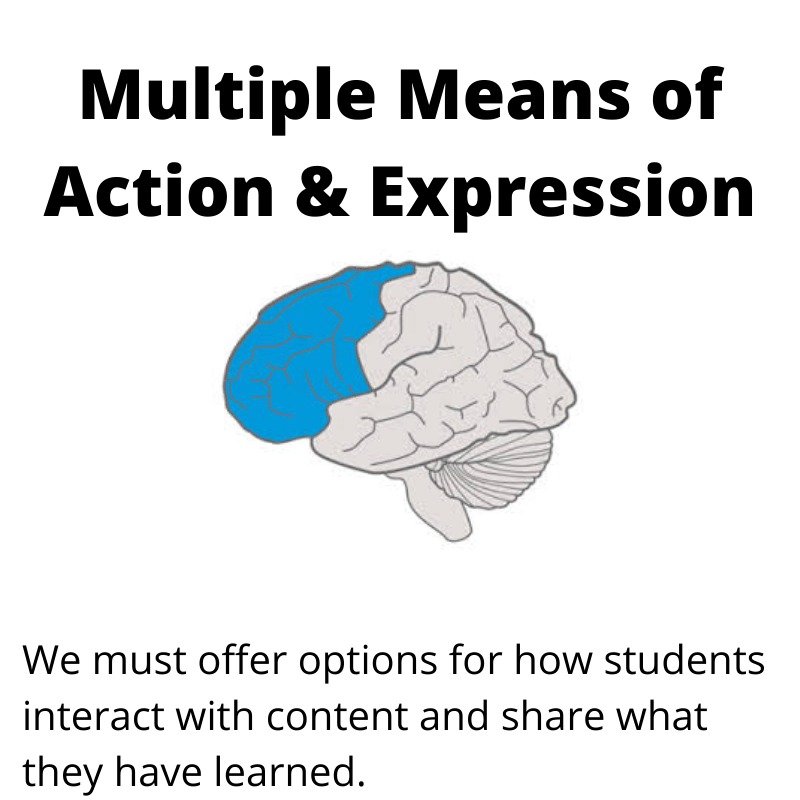 clipart of a gray human brain, the frontal lobe is colored blue. Text reads: multiple means of action and expression. We must offer options for how students interact with content and share what they have learned.