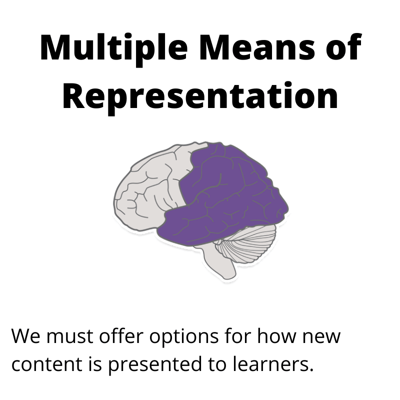 purple clipart of human brain. Title text says: Multiple means of representation. We must offer options for how new content is presented to learners.