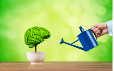 More Brain Breaks That Energize, Engage, & Focus Virtual Students