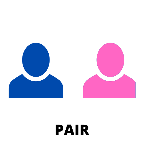 clipart of a blue person and a pink person with the word pair at the bottom