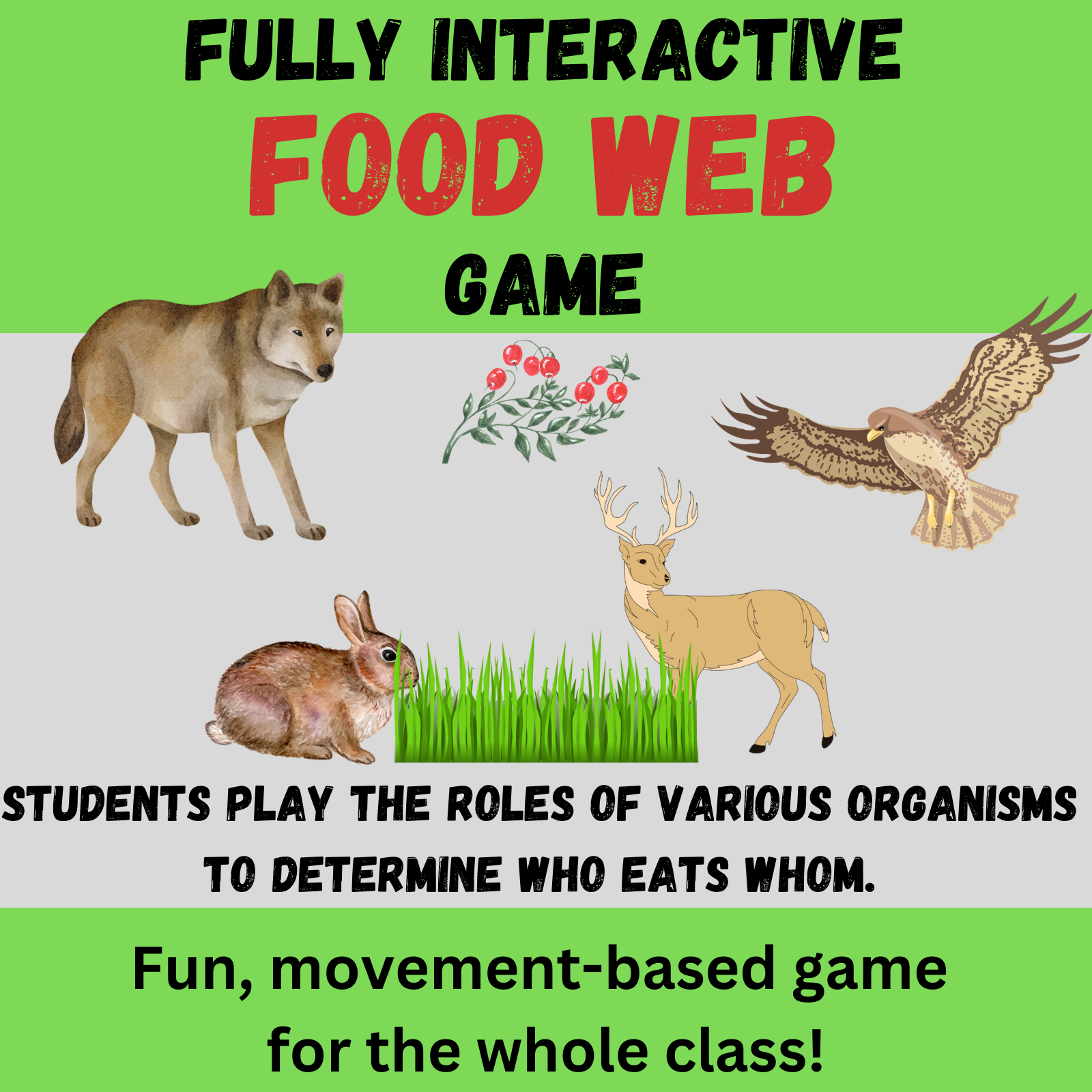 green background with black text that says "Fully Interactive Food Web Game." In the middle are clipart of a rabbit, a deer, and a wolf.