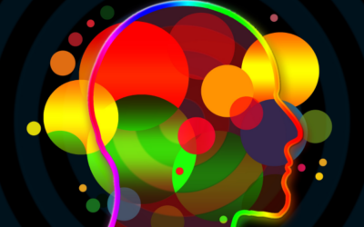Five Senses, One Lesson: Why Multisensory Instruction is Powerful